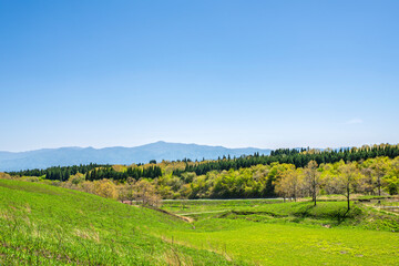 大分県竹田市久住高原の展望と青空