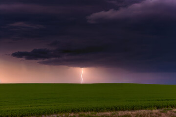 Lightning Bolt Striking Vast Green Field &ndash; Powerful Natural Energy, Dramatic Storm, and High-Contrast Atmospheric Tension for Weather, Landscape, and Science Photography Themes