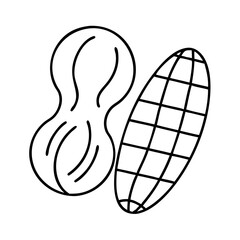 peanut icon, peanut line art - simple line art of peanut, perfect for peanut logos and icons