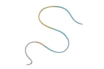 A single, curved piece of thread forms an S-shape.