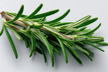 Fototapeta premium Rosemary Branch: A close-up of fresh rosemary sprigs, showcasing the vibrant green needles and aromatic stems, perfect for culinary and herbal applications.