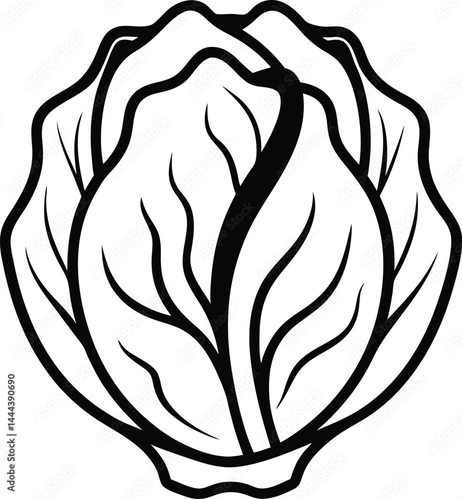 Poster chinese cabbage drawn in continuous single line style capturing the natural shape of the vegetable p