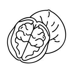 walnut icon, walnut line art - simple line art of walnut, perfect for walnut logos and icons