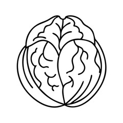 walnut icon, walnut line art - simple line art of walnut, perfect for walnut logos and icons