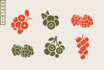 Vintage style berries. Natural food vector. Organic fruit sign 