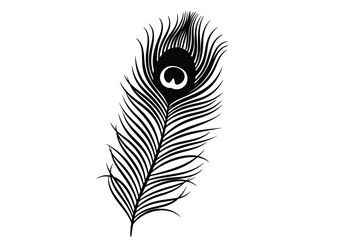 Obraz premium Peacock feather silhouette. A detailed black and white depiction of a peacock feather, also referred to as a plume or tail feather, in an elegant design. Vector clipart illustration design.