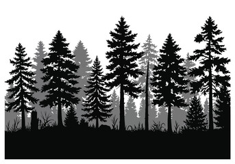 Forest tree line silhouette. This image showcases a serene forest tree line silhouette with various evergreen trees like pine, fir, and spruce. Vector clipart illustration design.