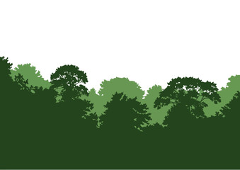 Green forest silhouette. This image features a serene forest with lush greenery, tree silhouettes, and a tranquil natural landscape. Vector clipart illustration design.