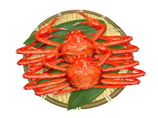 ズワイガニ（二杯）ザル笹の葉付き