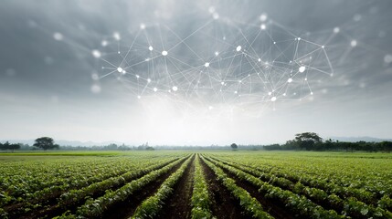 Futuristic Farming: Integrating Technology for Sustainable Agriculture Practices
