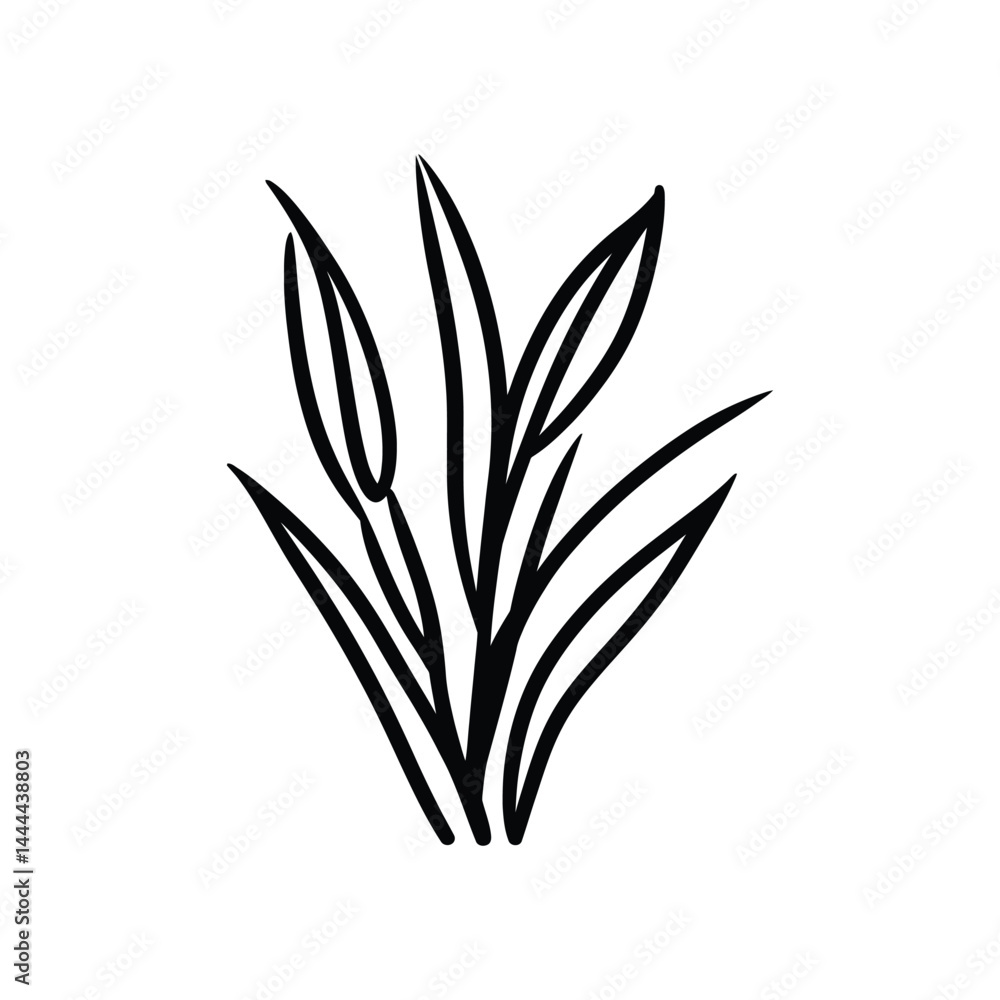 Poster elegant black line drawing of reeds with a transparent background design