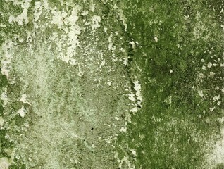Textured green wall with peeling paint