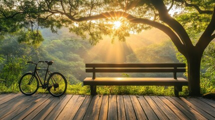 Sunlight streams through a tree canopy onto a park bench and bicycle.