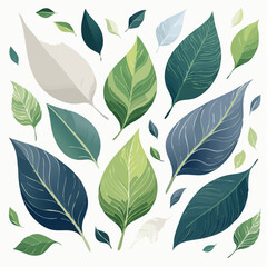 Fototapeta premium Collection Of Green Blue And White Leaves Botanical Illustration