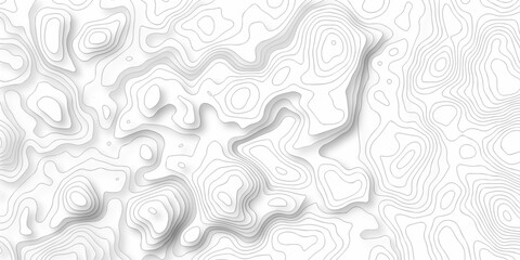 Abstract curve grid map and topo contour map on white background, Topographic contour lines....