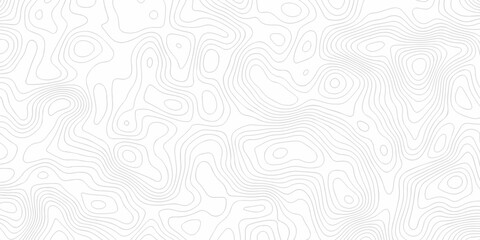 Abstract curve grid map and topo contour map on white background, Topographic contour lines. Seamless pattern with lines Topographic map. Geographic mountain relief diagram line wave carve design.