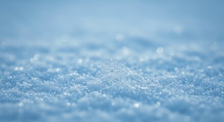Obraz premium Snowflake Close-up on Snowy Surface Winter Season