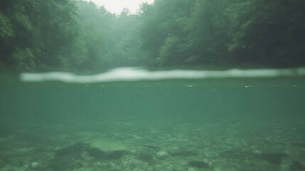 Tranquil underwater river scene. Lush green forest surrounds a calm riverbed