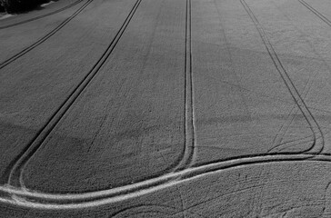 Aerial black and white view of patterns in farmer's field