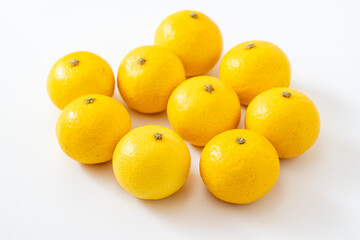 白背景に爽やかな湘南ゴールド