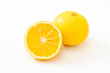 白背景に爽やかな湘南ゴールド