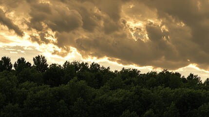 Fototapeta premium Airplane flying majestically over dense forest below with dramatic thunderstorm sky creating an awe-inspiring scene of nature and flight