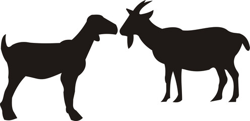 Silhouette of Goat and Sheep Face to Face on White Background