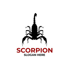 scorpion logo abstract with bold typography