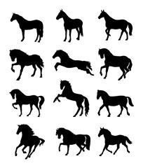horse silhouettes image collection
