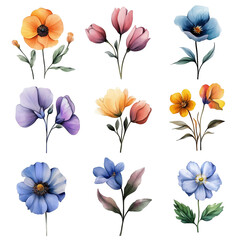 Watercolor illustration set of various spring flowers and leaves. Hand-painted botanical elements in soft pastel tones, perfect for wedding invitations, greeting cards, packaging, textile patterns