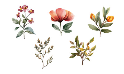 Watercolor illustration set of various spring flowers and leaves. Hand-painted botanical elements in soft pastel tones, perfect for wedding invitations, greeting cards, packaging, textile patterns