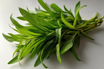 Fototapeta premium Tarragon Green: A fresh, vibrant bunch of tarragon, offering an inviting glimpse of culinary potential and aromatic appeal.