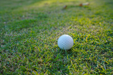 Golf ball on green grass in the evening golf course with sunshine background.