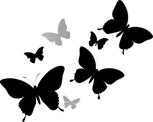 set of vector butterflies