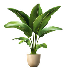 Potted Plant with Large Green Leaves in Modern Beige Container