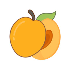  Apricot Fruit with Natural Glow