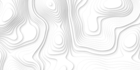 Abstract wavy line 3d paper cut white background. white and gray luxury grid topography map and satin smooth wallpaper matt paper light texture. White waves decorative papercut design.