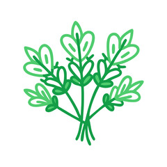  Aromatic Fresh Herbs Bunch