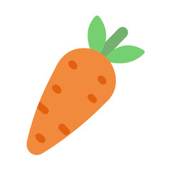  Fresh Carrot Vegetable