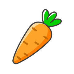  Nutritious Fresh Carrot