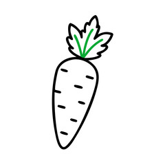  Vibrant Carrot with Leaves