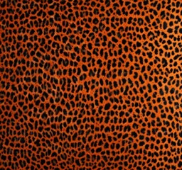 Vibrant orange and black leopard skin pattern  ,  bold,  fashion,  leopard