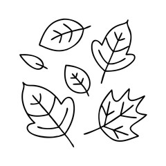 autumn leaves icon, autumn leaves line art - simple line art of autumn leaves, perfect for autumn leaves logos and icons