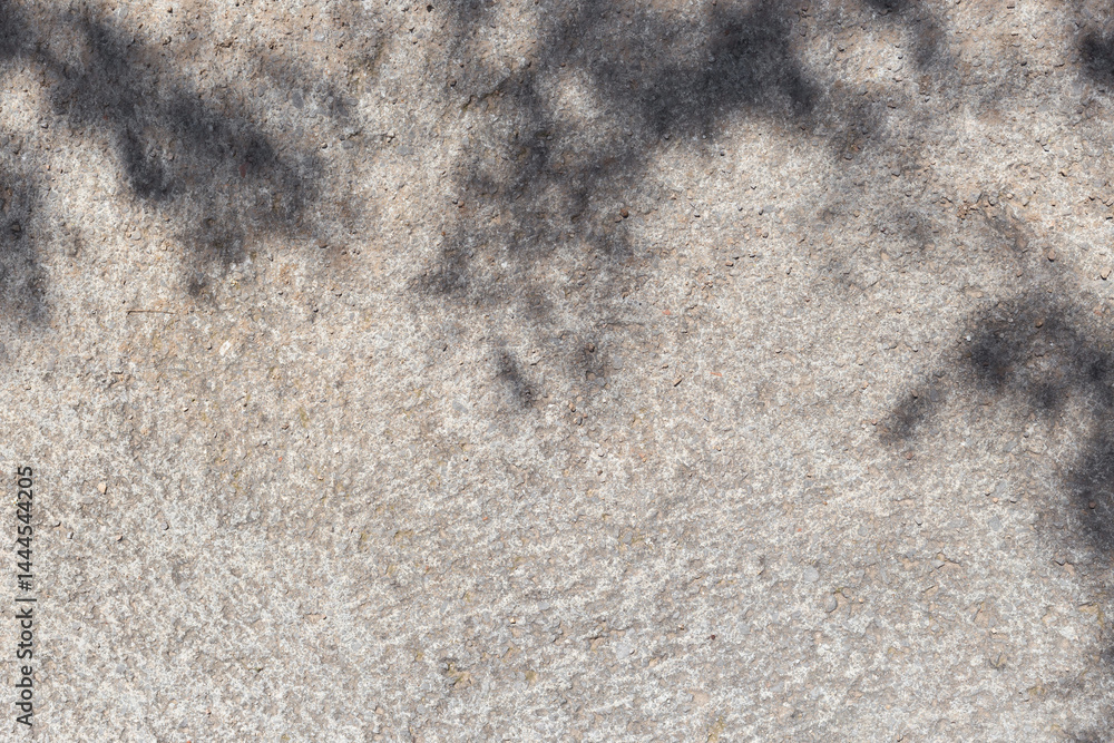 Poster leaves shadows. leaves bokeh nature sunny summer cozy background with sunlight. leaves and trees sha
