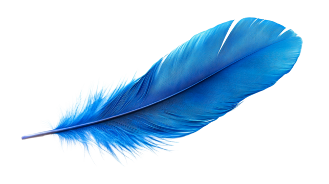 Blue feather on black, cut out transparent