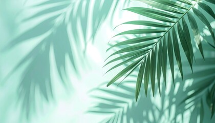 Captivating palm leaves in soft green light nature scene botanical imagery tranquil environment close-up view serenity concept
