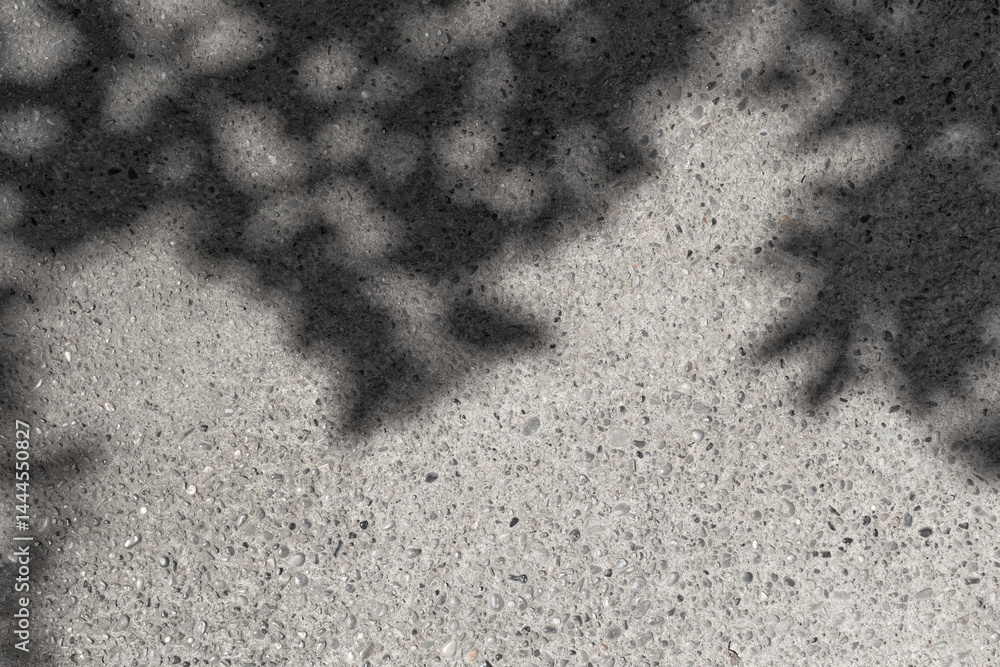 Poster leaves shadows. leaves bokeh nature sunny summer cozy background with sunlight. leaves and trees sha