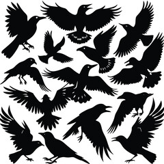 Obraz premium Majestic Silhouettes of Birds in Graceful Flight