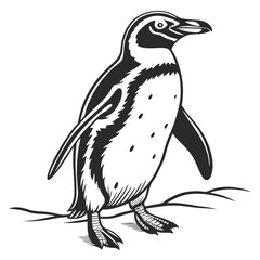 Monochrome Penguin Walking, Wing Extended | Wildlife Bird Illustration, Flat Black and White