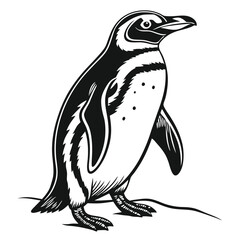 Monochrome Penguin Isolated on White Background, Standing, Black and White, Bird